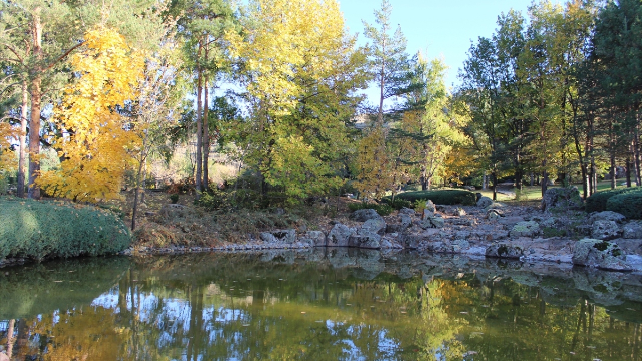 Sonbaharın gelişiyle yemyeşil tabiatın sarı ve turuncuya dönüştüğü Japon Bahçesi`nde, bazı ağaçlar yeşil yapraklarını korurken bazıları ise sarı, turuncu ve mor yapraklarıyla eşsiz bir manzara oluşturuyor.