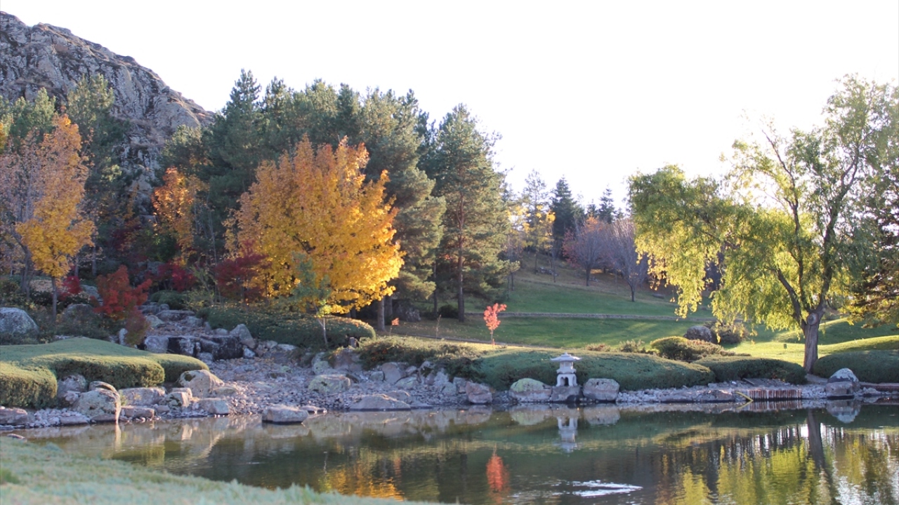 Avrupa Center Mimarlık ve Kentsel Tasarım Sanat Çalışmaları ile Chicago Kütüphanesi tarafından "En İyi Yeşil Tasarım" ödülü alan Japon Bahçesi, Japonya sınırları dışında bulunan en büyük botanik bahçelerinden biri olma özelliğini taşıyor.