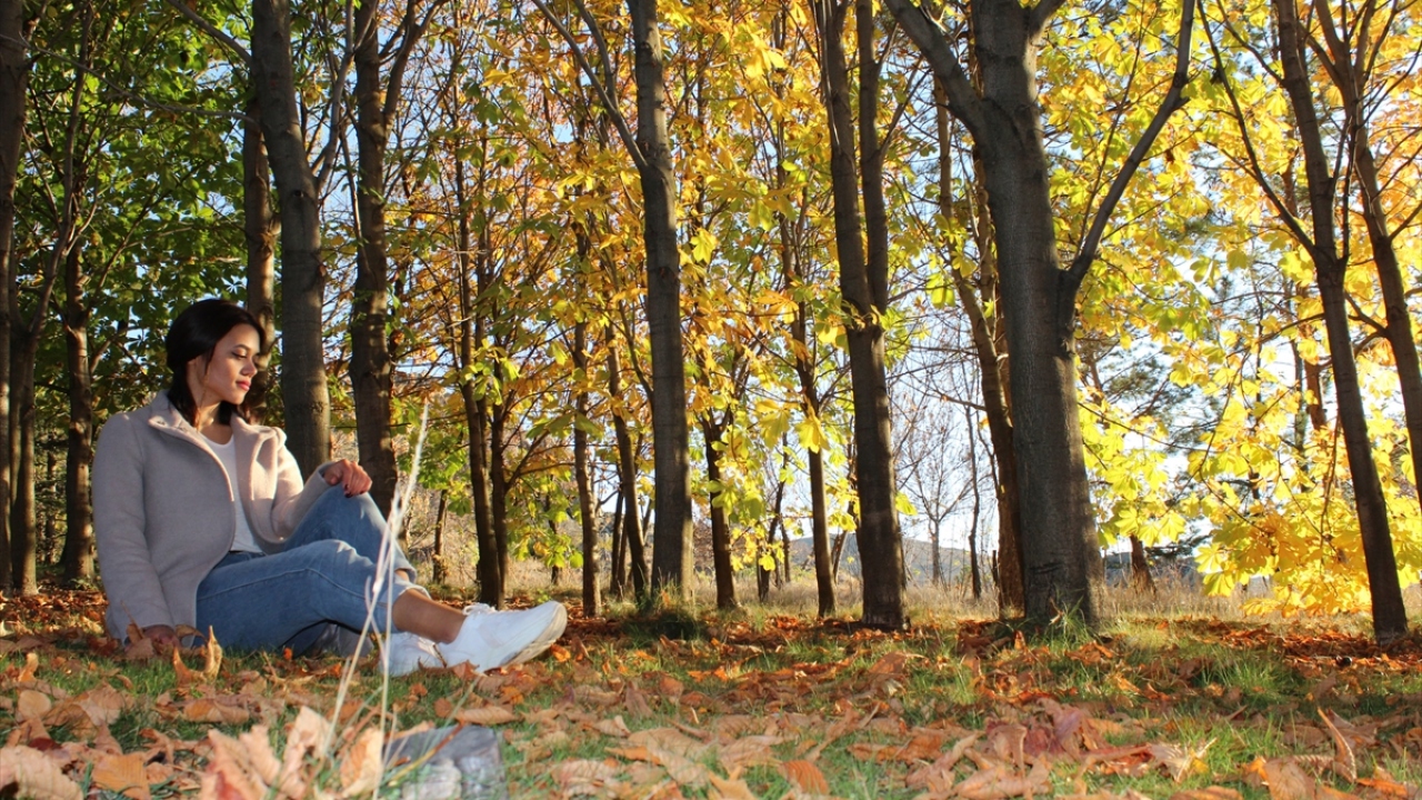 Kayserili olan ve Kırşehir`de eğitim gören üniversite öğrencisi Eren Koçak da Japon Bahçesi`ni çok beğendiğini belirterek, herkese tavsiye ettiğini dile getirdi.