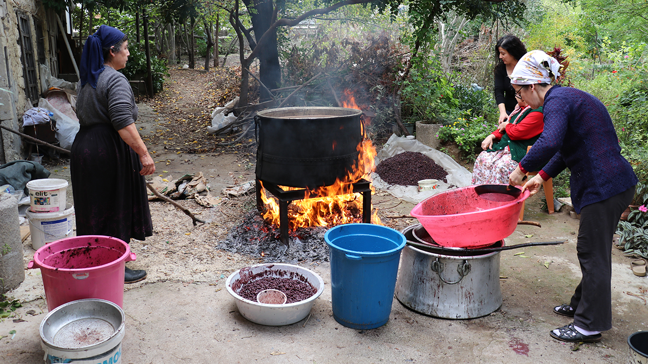 Adını defne ağaçlarının bolluğundan alan Defne ilçesinin kırsal mahallelerindeki kadınlar, el birliğiyle ağaçlardan topladıkları meyveleri kazanlarda saatlerce kaynatarak aile bütçesine katkı sağlıyor.
