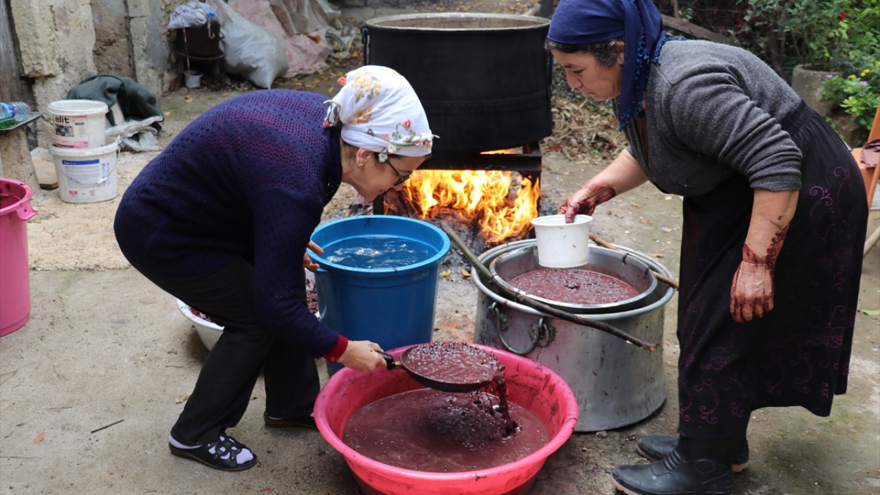 "Türkiye, dünyanın bir numaralı defne yaprağı ihracatçısı"