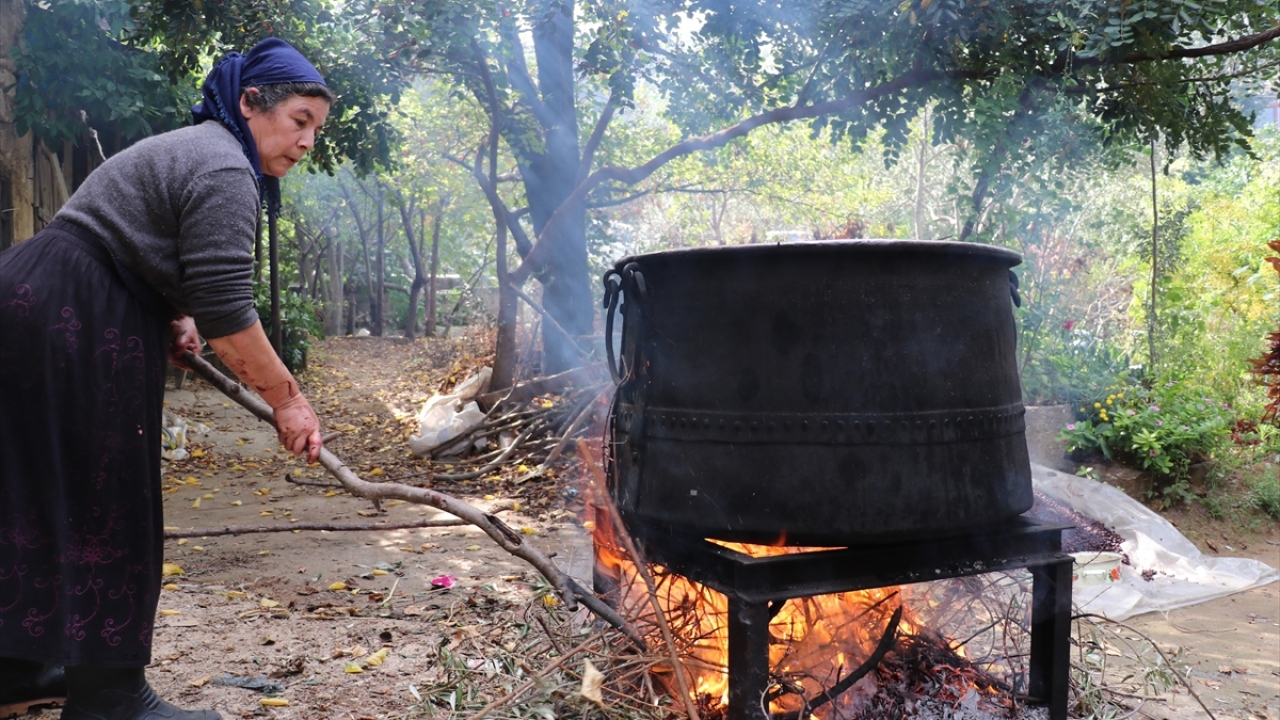 Güzel, Hatay`da defne ağacının yaprağından çok meyvesinin sabun ve yağ elde edilmesinde kullanıldığını belirtti.