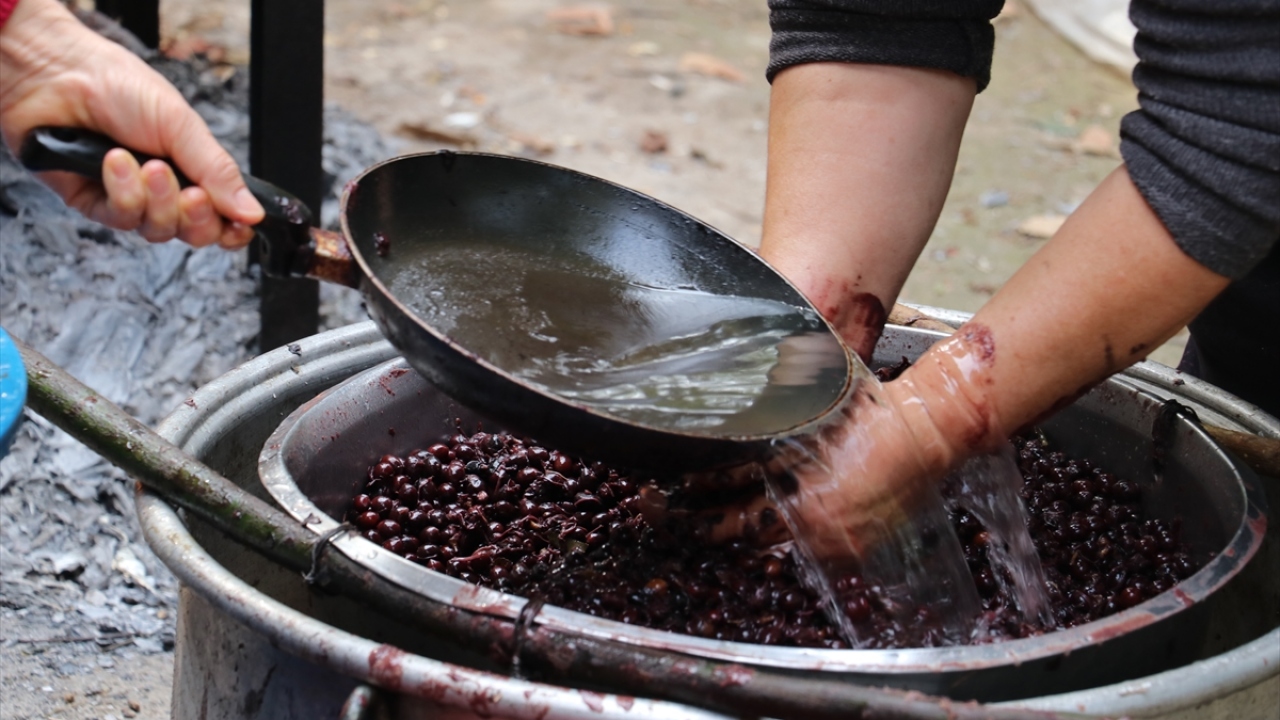 Defne yağı çıkarmanın oldukça zor bir işlem olduğunu vurgulayan Güzel, bölgedeki kadınların geleneksel yöntemle yardımlaşarak bu işlemi yıllardır sürdürdüğünü kaydetti.