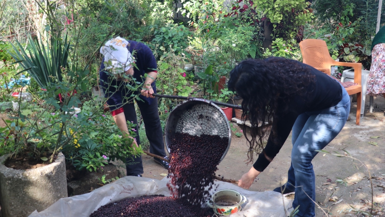 Emine Büyükaşık da çocukluğundan bu yana her yıl defne yağı çıkartma işini severek sürdürdüğünü ve bu geleneğin devam etmesi için çaba gösterdiğini kaydetti.