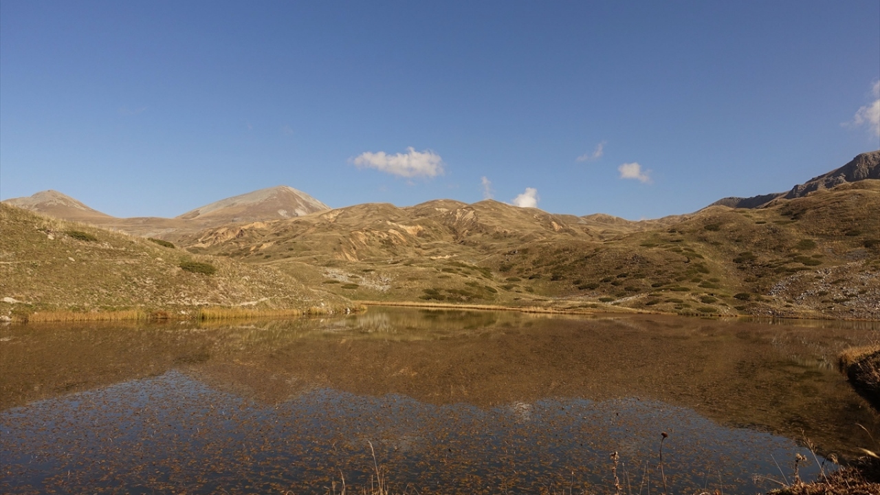 Proje kapsamında kente gelen Türkiye Fotoğraf Sanatı Federasyonu Yönetim Kurulu Üyesi Murat Berkyürek ise Artvin`in safari tutkunları için olağanüstü bir şehir olduğunu söyledi.