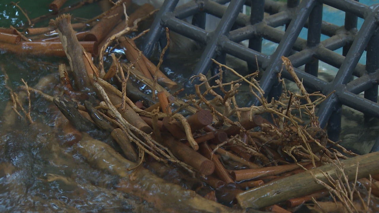 Tarım ve Orman Bakanı Bekir Pakdemirli’nin taşkın olaylarına dikkat çekmek ve halkı bilinçlendirmek amacıyla dünyada bir ilk olma özelliği taşıyacağını belirttiği Taşkın Müzesi’nin yaklaşık 400 bin TL’ye mal olması planlanıyor.