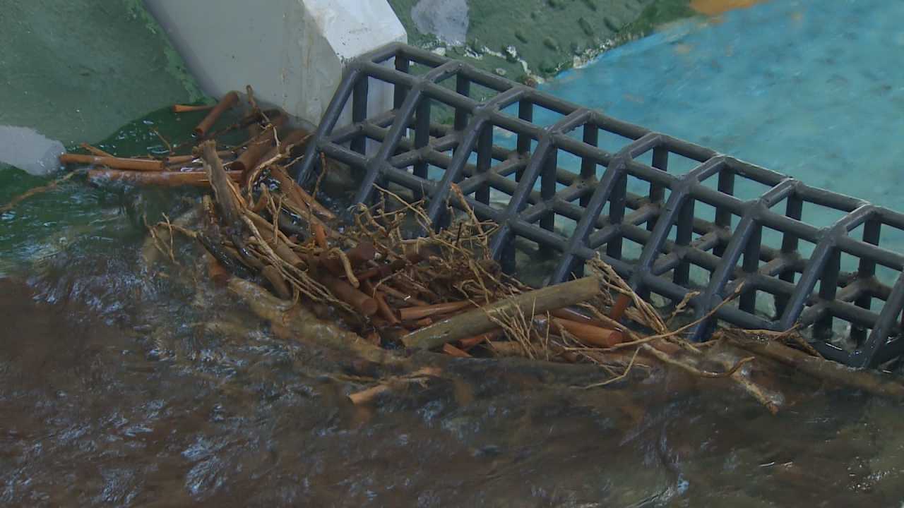 Türkiye’de en çok taşkınların Doğu Karadeniz Bölgesinde meydana geldiğine vurgu yapan DSİ 22.Bölge Müdür Vekili Dr. Emre Akçalı, söz konusu taşkınların oluşmasında diğer etkenin insan müdahalesi olduğunu söyledi.