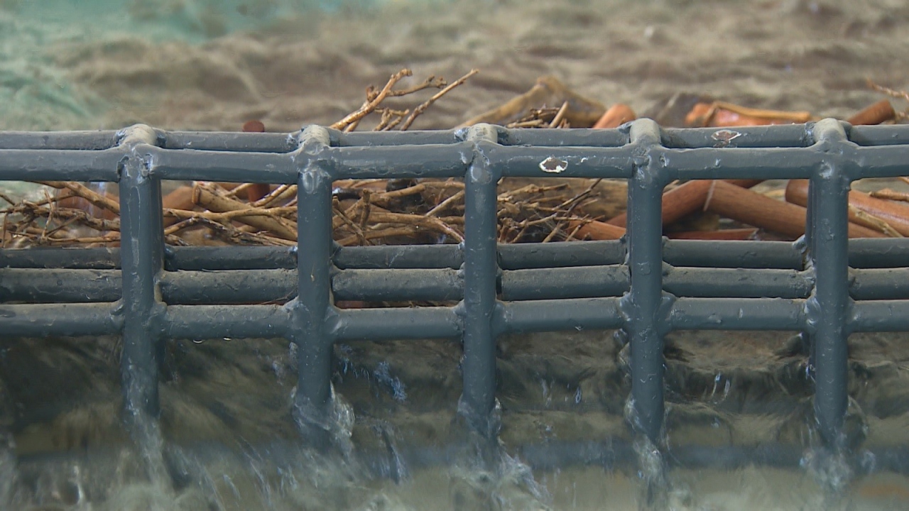 Doğu Karadeniz Bölgesi’nde 74 bin adet dere yatağı var