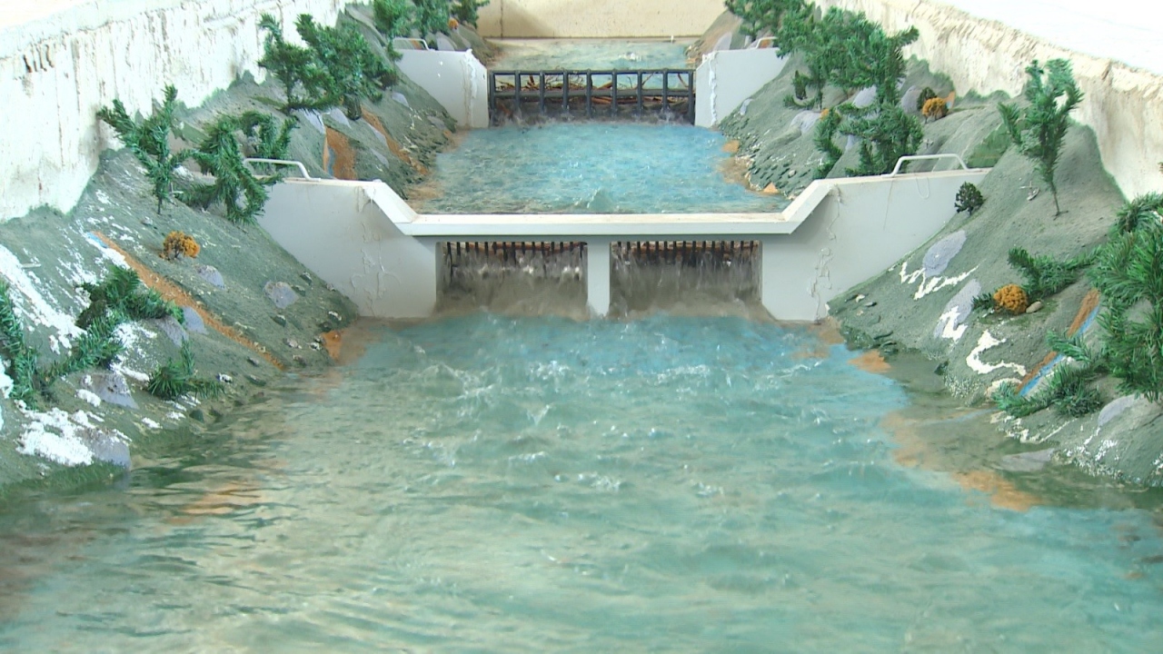 Evinizin taşkın riski altında olup olmadığını gösteren haritalarımız olacak