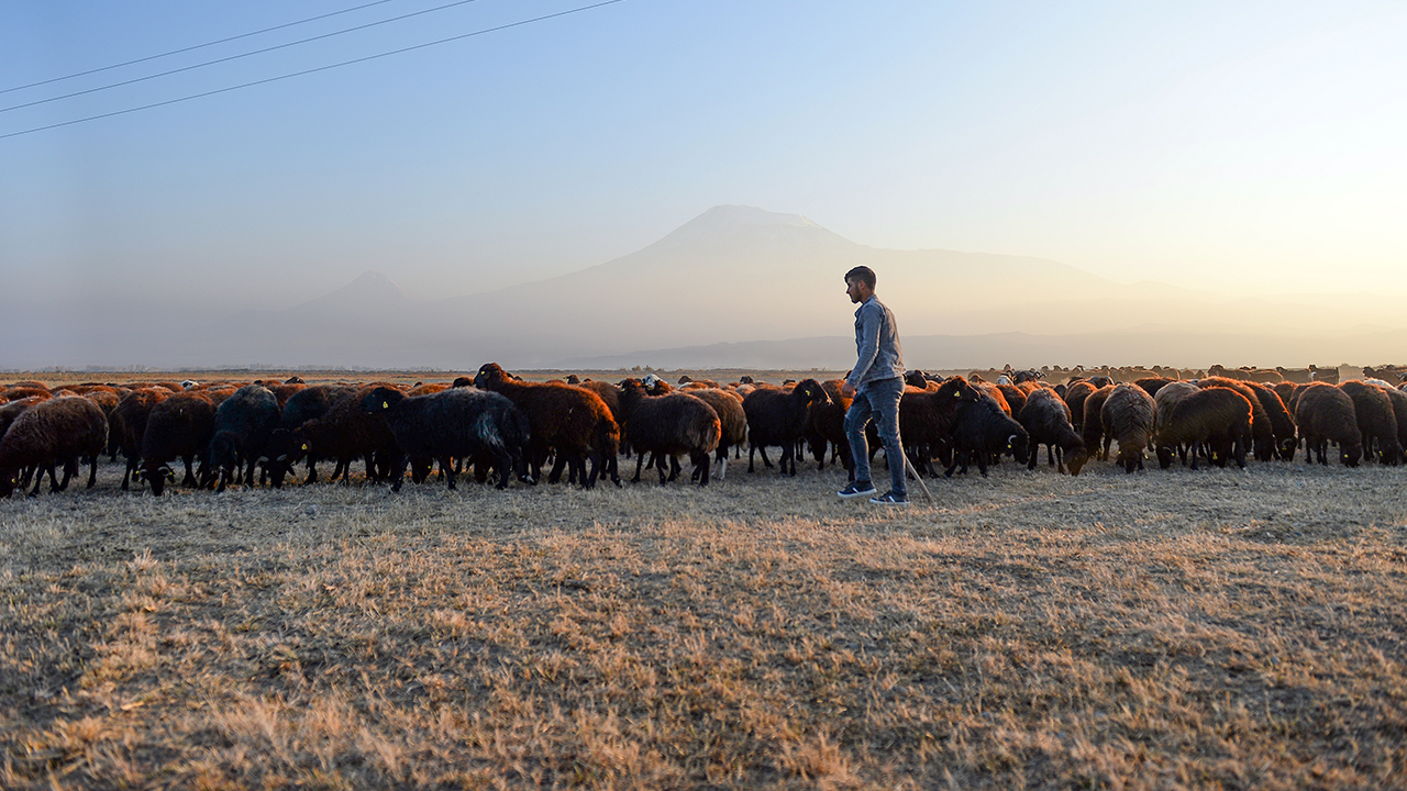 5 bin 137 metre yükseklikteki Ağrı Dağı, bitki çeşitliği, su kaynakları ve el değmemiş doğasıyla her yıl çok sayıda göçeri yüksek rakımlı yaylalarında ağırlıyor. 