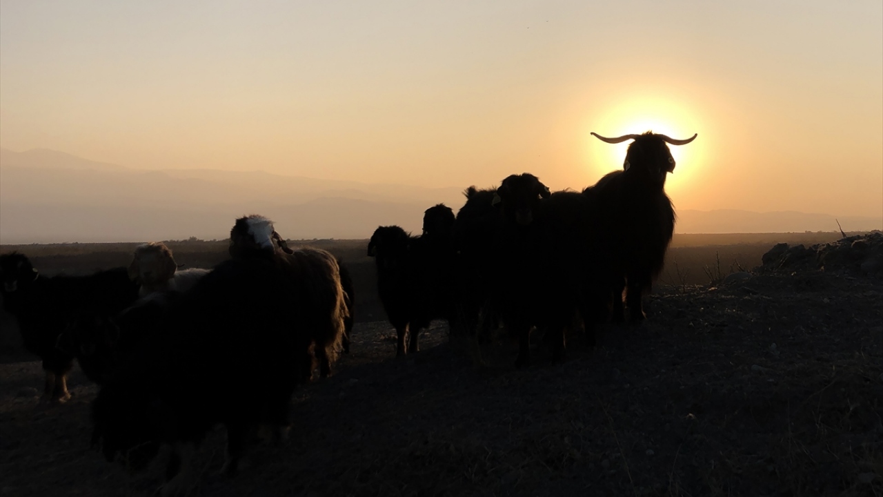 Bu sezon Ağrı Dağı`nın son konuklarından olan göçerlerden Ferzende Güç, yaptığı açıklamada, kar yağmadan önce dönüş hazırlıklarına başladıklarını söyledi. 