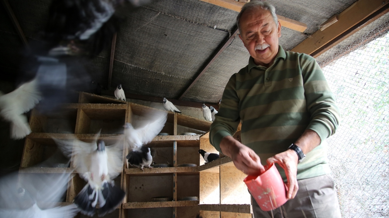 "Bu kültürü geleceğe taşımak için herkes elini taşın altına koymalı"