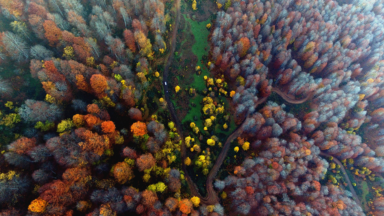 Kültür ve Turizm Bakanlığınca doğa turizm alanı ilan edilen Nebiyan Dağı; ormanları, yaylası ve suyu ile her mevsim ayrı bir doğal güzelliği bünyesinde barındırıyor. 