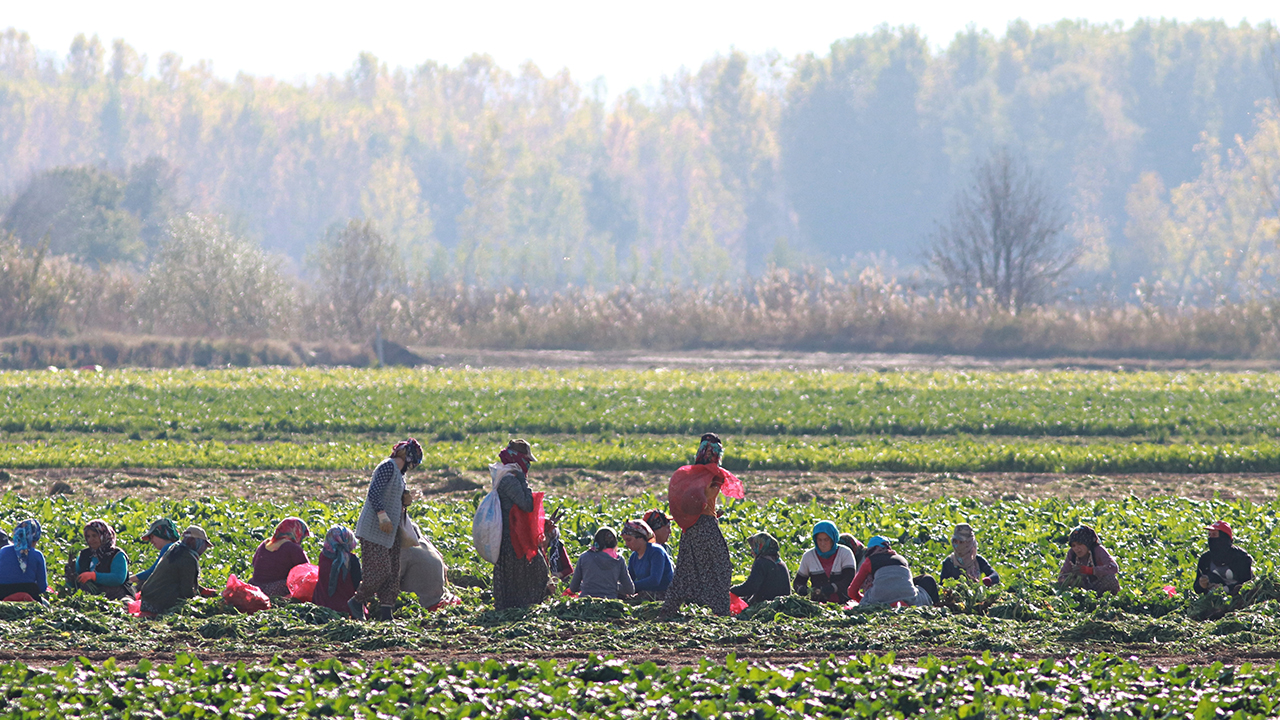 Şahin, yaptığı açıklamada, Tokat`ın tarımsal faaliyetlerde öncü illerden olduğunu söyledi.