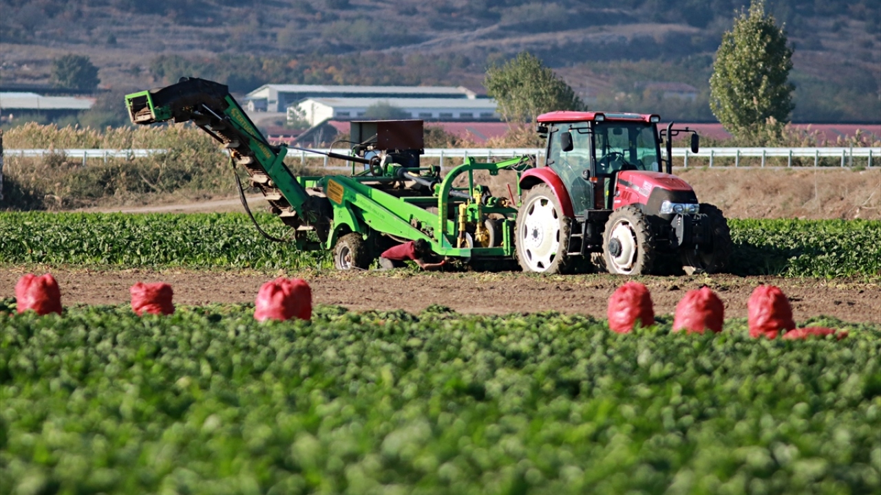 Şahin, fabrikaların şeker pancarına, şeker oranına göre fiyat verdiklerine işaret ederek, özellikle Çamlıbel, Artova, Yeşilyurt ve Sulusaray ilçelerinde yetiştirilen pancarların şeker oranının çok yüksek olduğunu söyledi.