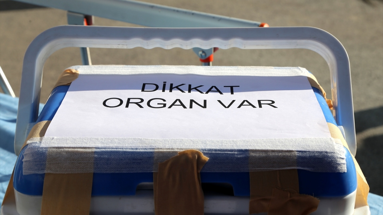 Organlar, Samsun, Erzurum ve  İstanbul`a gönderildi. 