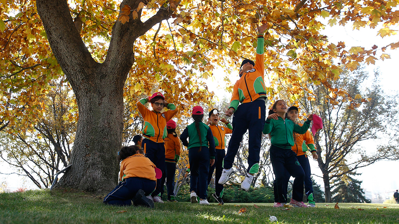 Meclis Kabatepe Parkı`ndaki etkinliğe, Sevgi Evleri Ekolojik Okul Programı`ndaki ilk ve ortaöğretim öğrencilerinin yanı sıra TBMM Genel Sekreteri Mehmet Ali Kumbuzoğlu ve davetliler katıldı.