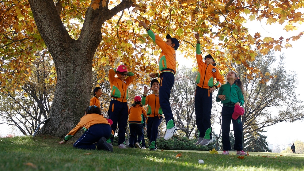 "Bugün olduğu gibi biz bu etkinliğimize inşallah devam edeceğiz. Bir fidan bir orman hayali..." diye konuşan Kumbuzoğlu, küçük bir palamudun ağaca, 450 bin palamudun da ormana dönüşeceğini kaydetti. 