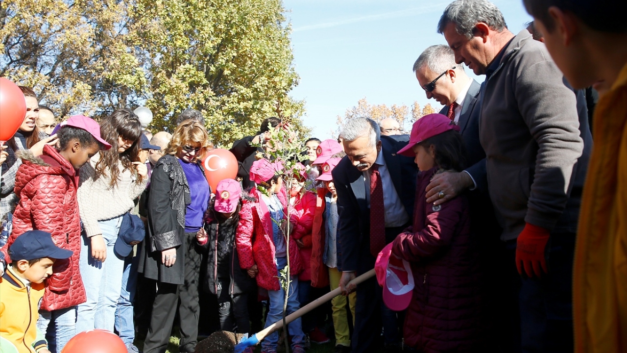 Kumbuzoğlu, daha sonra palamut toplayan bir grup çocukla meşe fidanı dikti.