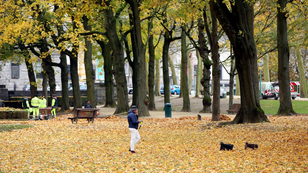 Brüksel ve çevresindeki parklar vatandaşların şehir yaşamından uzaklaşmak için tercih ettikleri mekanların başında geliyor.