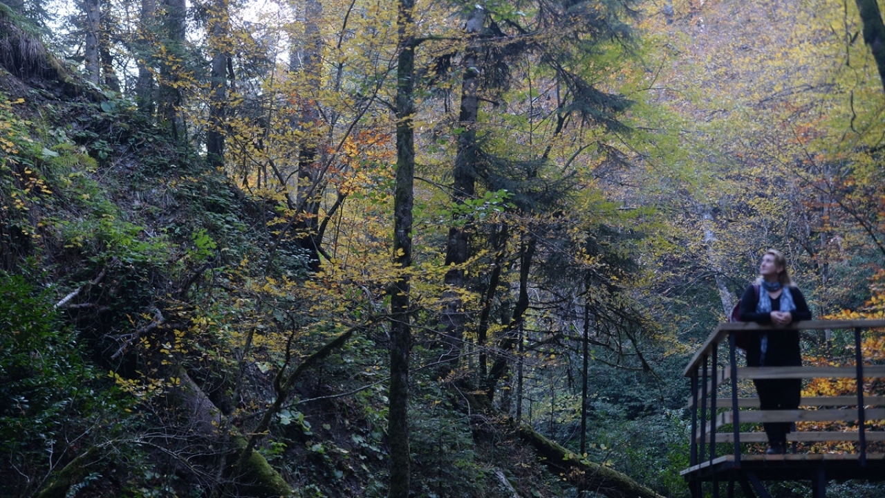 Bozulmamış tabiatıyla dikkatleri çeken Baklabostan Tabiat Parkı, yaklaşık 20 metrelik şelalesi ile insanları izlerken adeta dinlendiriyor.