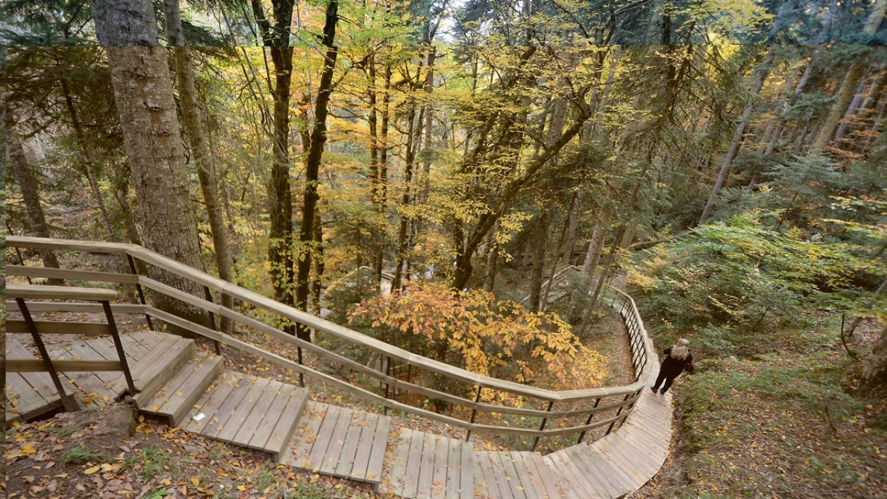 Kent merkezine 20 kilometre uzaklıkta bulunan Baklabostan Tabiat Parkı`na akın eden yerli ve yabancı turistler, kamp kurarak eşsiz güzelliğin tadını çıkarıyor.