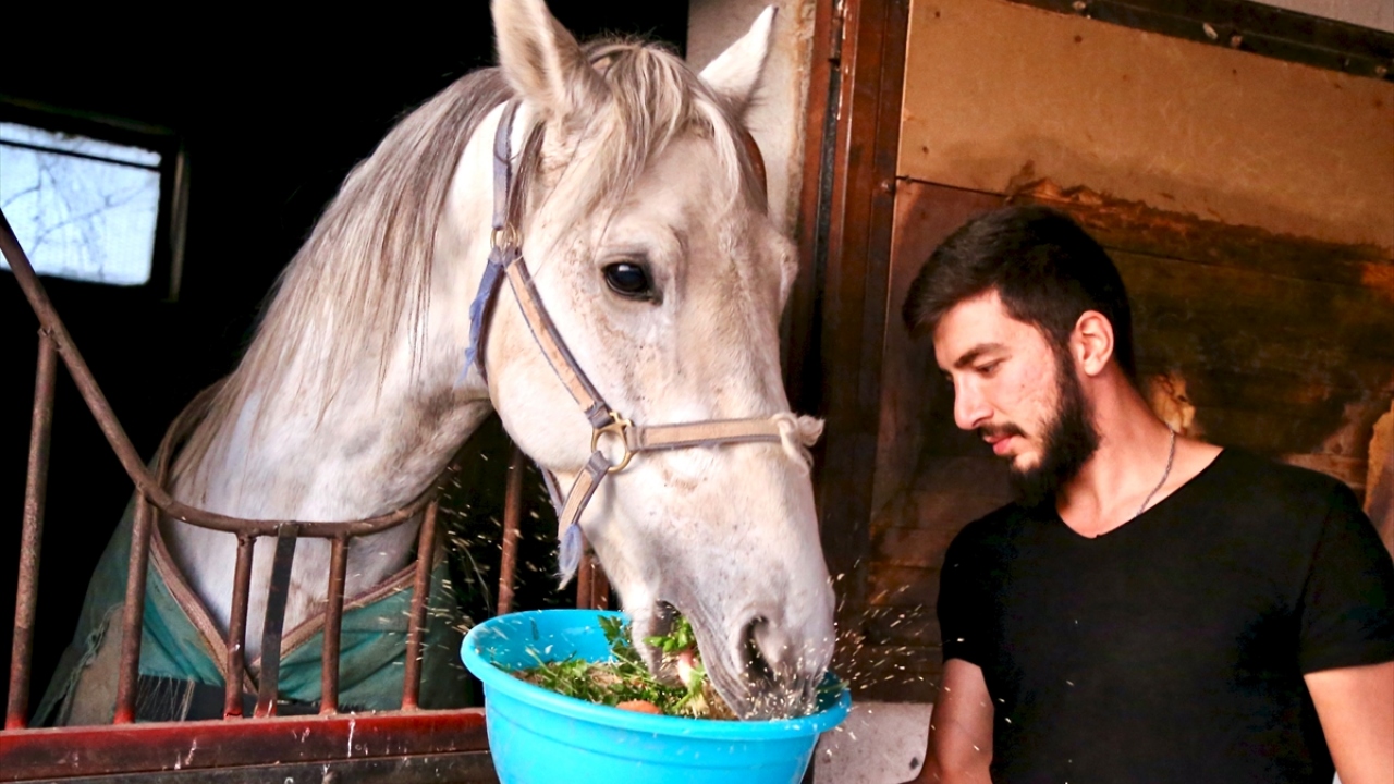 Zamanını önemli bölümünü yarışlara hazırladığı ve çok sayıda şampiyonluğu olan rahvan atlarla geçiren Baranok, yeğenleri ve çocuklarıyla da yarış yapmayı ihmal etmiyor. 