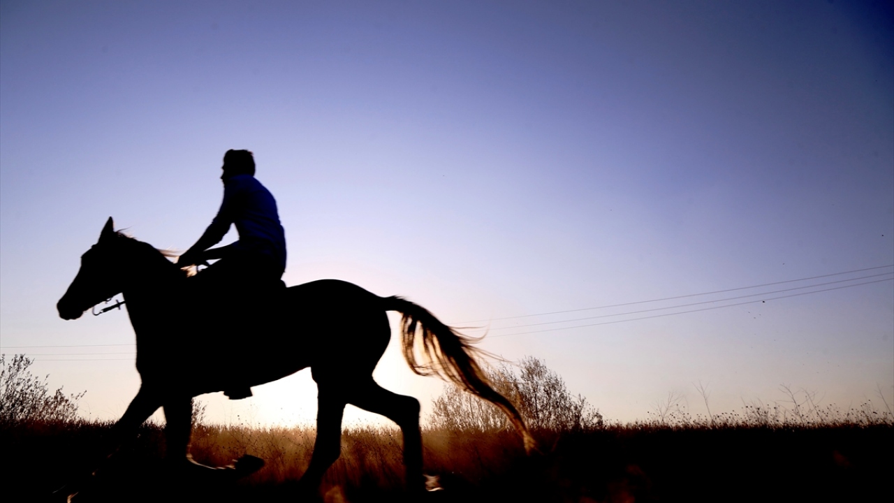 Konya`da yumurta üretme çiftliği sahibi Ali Baranok, ailesinden gelen at yetiştiriciliği merakını işletmesindeki harada yaşatıyor. 