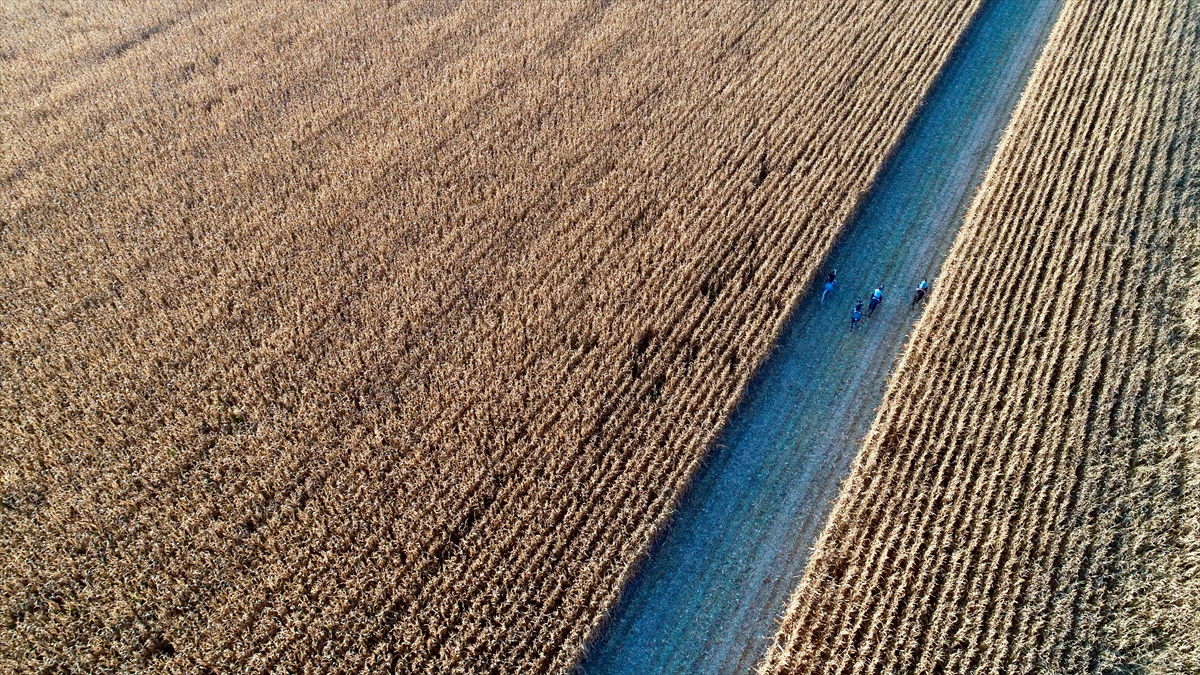 Aileden gelen at yetiştiriciliği merakını sürdüren Baranok, binicisi olduğu atlarla vakit geçirmekten büyük mutluluk duyuyor.