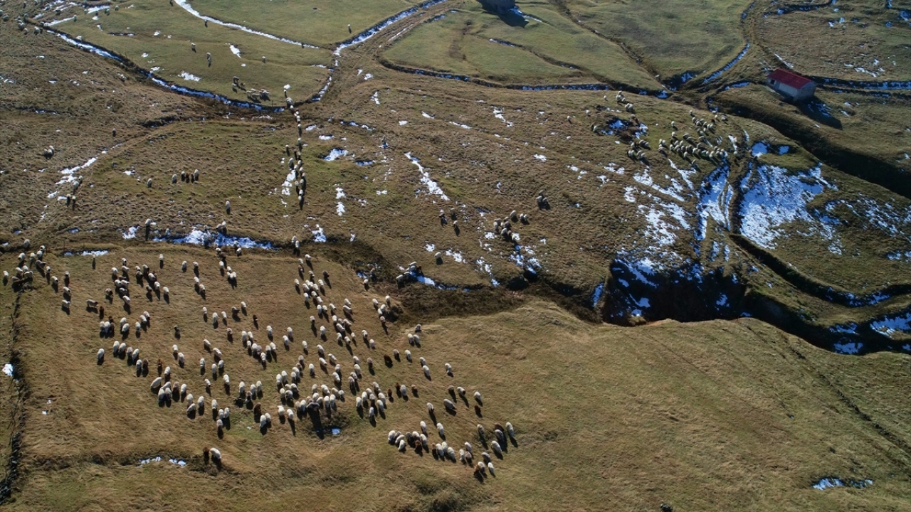 1. Dünya Savaşı`nda Ruslara karşı yapılan savunmada şehit düşenler anısına yapılan Harmantepe Şehitliği de güzergahta yolculuk yapanların durakları arasında ilk sırayı alıyor.  