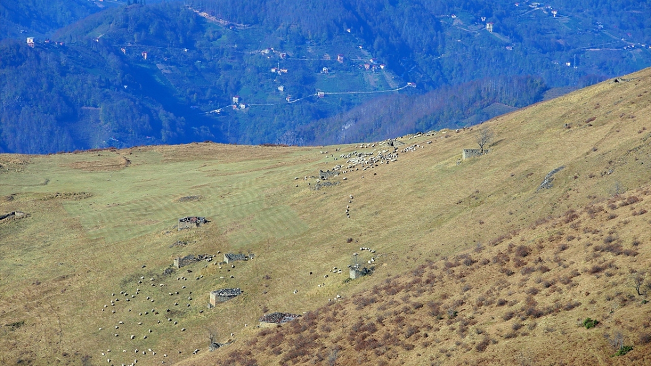 Kervan yolu üzerinde yer alan yaylalardan henüz ayrılmayan besiciler ise kış mevsimine sayılı günler kala hayvanlarını taze otla buluşturmayı sürdürüyor.