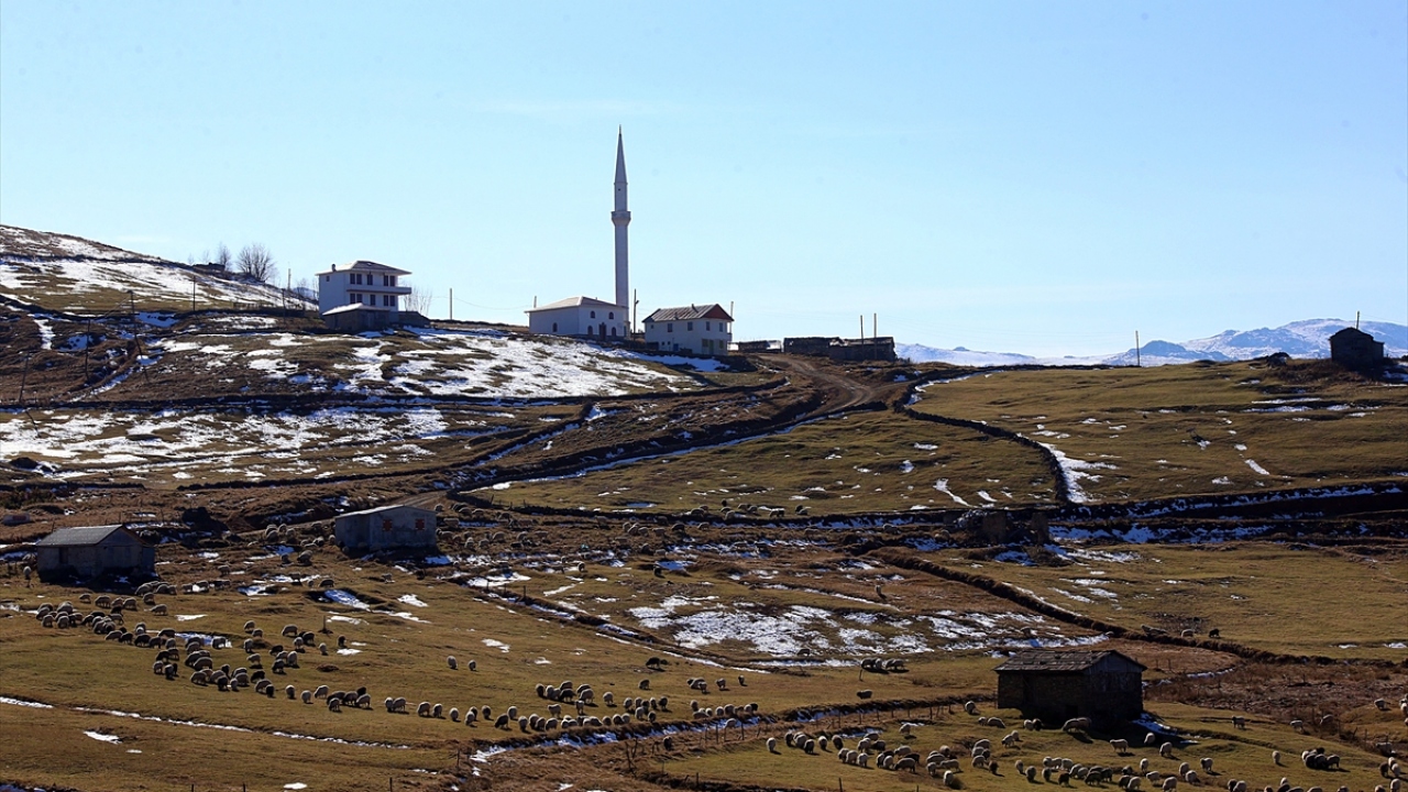 Mevsim normallerinin üzerinde seyreden hava sıcaklıkları dolayısıyla henüz kış mevsiminin etkisini göstermediği kervan yolu, doğa, tarih ve kültür amaçlı gezenleri sonbaharın farklı renkleriyle karşılıyor.