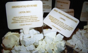 Balıkesir 50 çeşit peyniriyle tanıtıldı