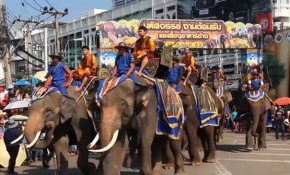 Tayland'da düzenlenen fil festivalinden renkli anlar
