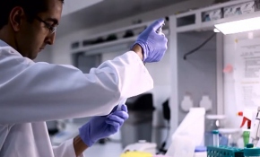 Türü tehlikede olan bitkiler klonlanıyor