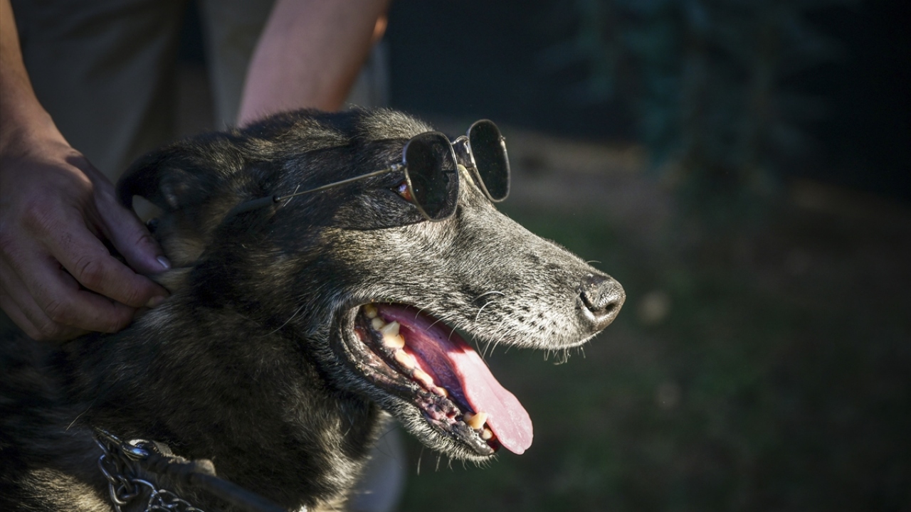 Ona olan sevgisini asla kaybetmeyeceğini ifade eden Çelik, duygularını şöyle dile getirdi: