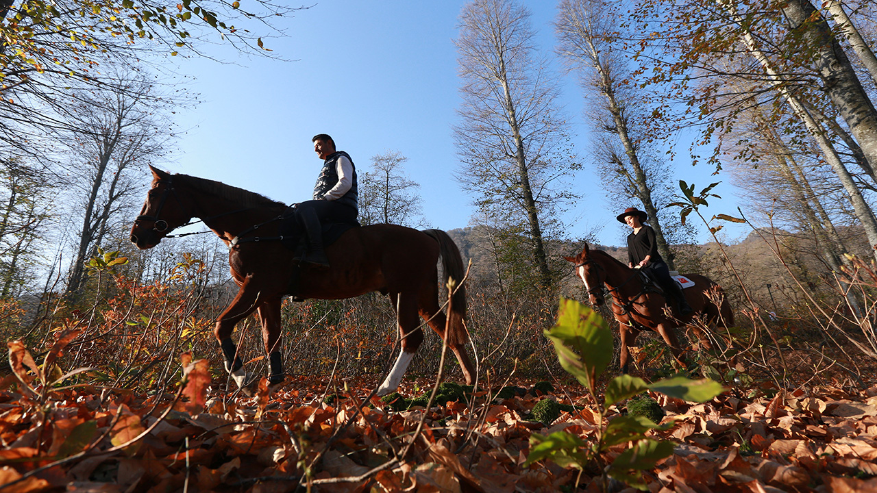 Kültür ve Turizm Bakanlığınca doğa turizm alanı ilan edilen Nebiyan Dağı; ormanları, yaylası ve suyu ile her mevsim ayrı bir doğal güzelliği bünyesinde barındırıyor.