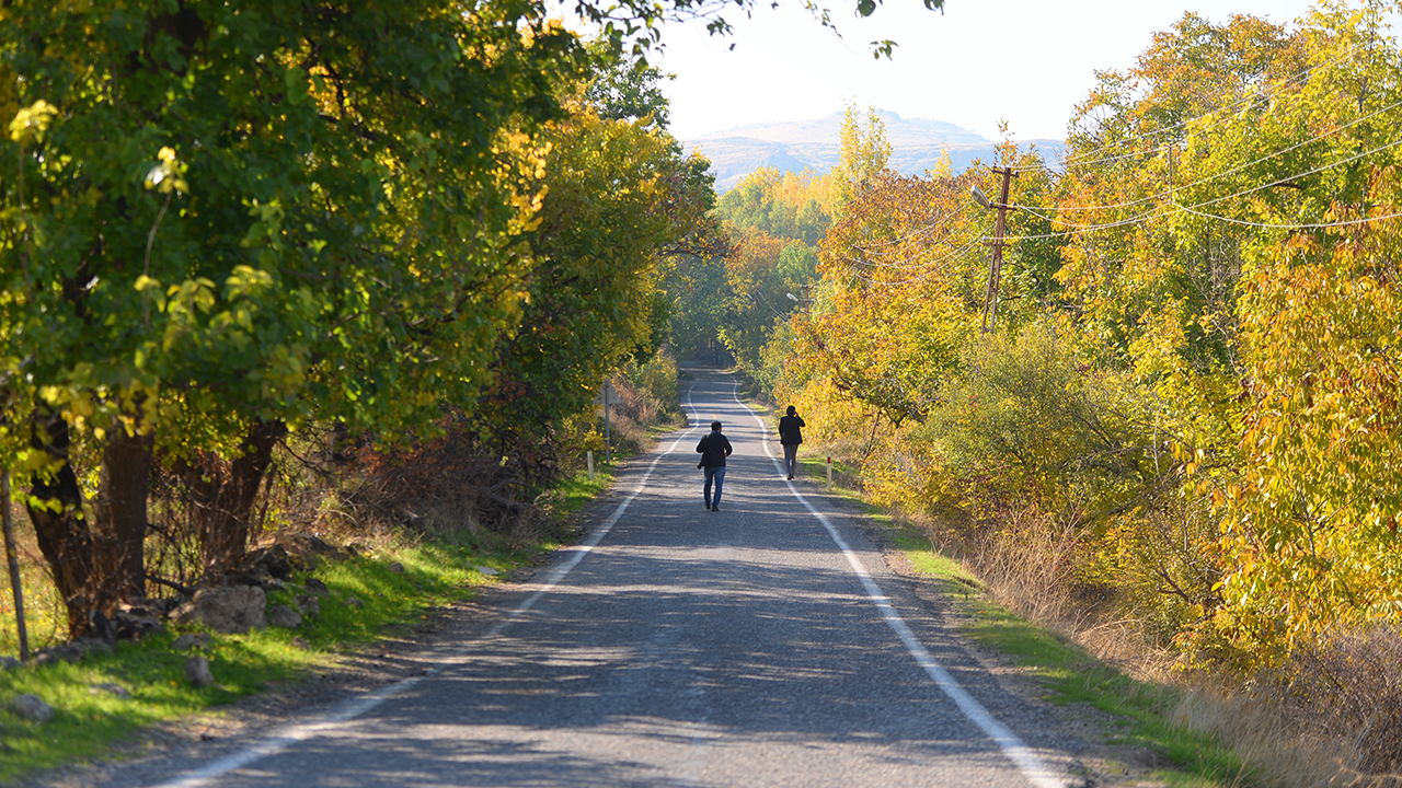 Roma döneminde inşa edildiği tahmin edilen kalenin yamacına kurulu Savur`da, sonbaharda ağaçların oluşturduğu renk cümbüşü, görenleri hayran bırakıyor.