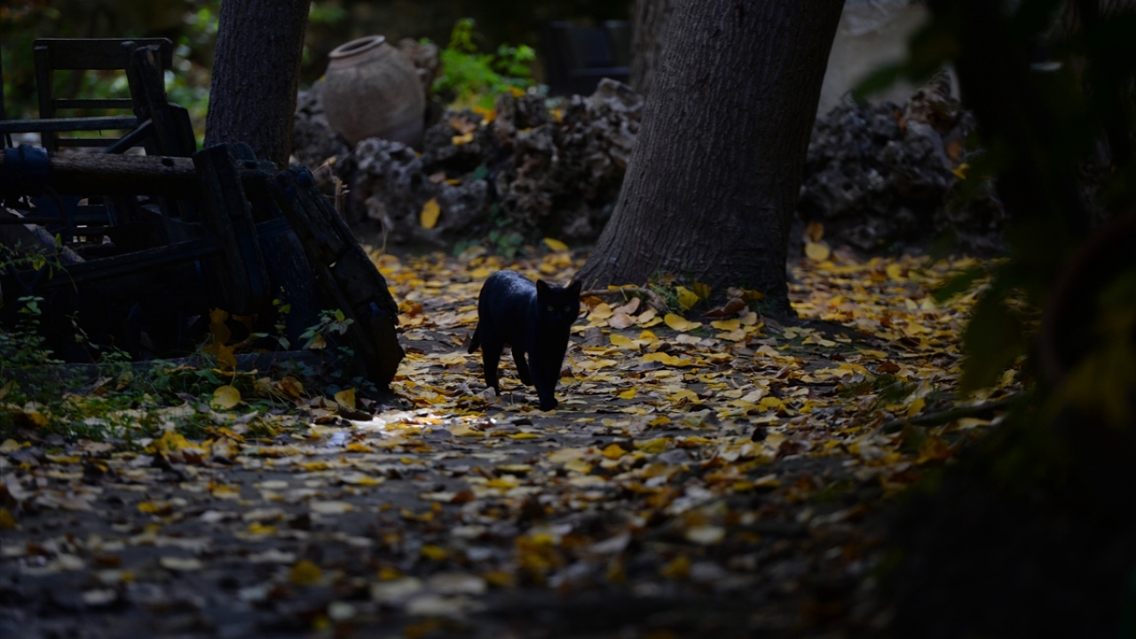 "Doğamızla Mardin`den fazlasını sunuyoruz"