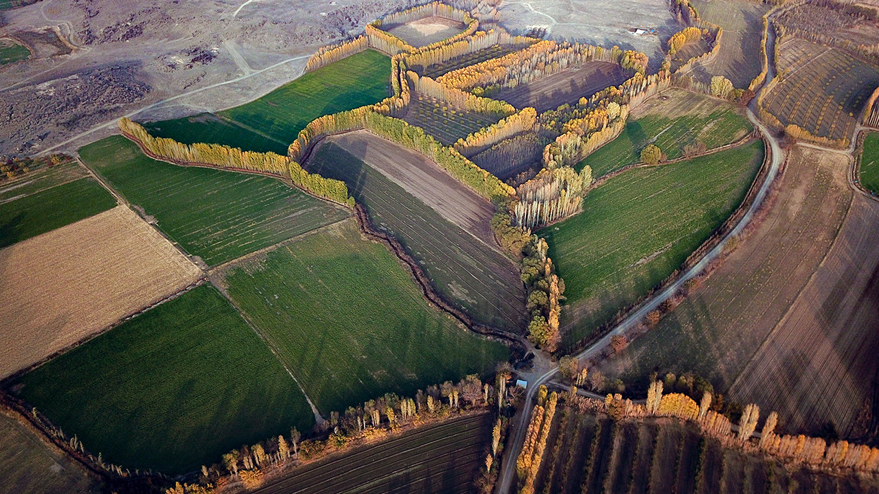 Sahip olduğu 5 bin 137 metre yüksekliğiyle yurdun en yüksek noktası olan Ağrı Dağı`nın eteklerindeki İrem Bağları, onlarca farklı türden meyve ağacı ile söğüt ve kavak ağaçlarını barındırıyor.