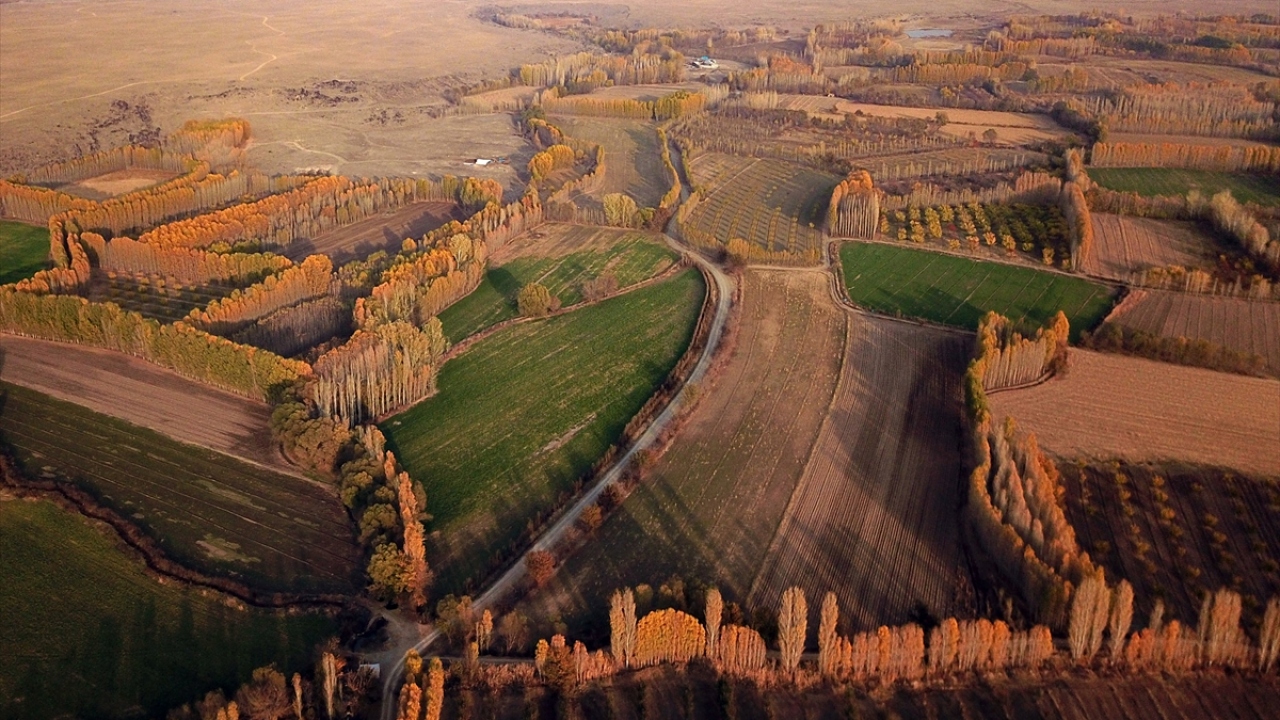 Çorak arazi ortasında eşsiz bir güzellik