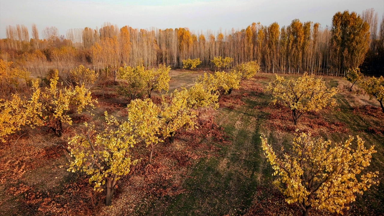 "Doğaseverler için muntazam bir doğa harikası."