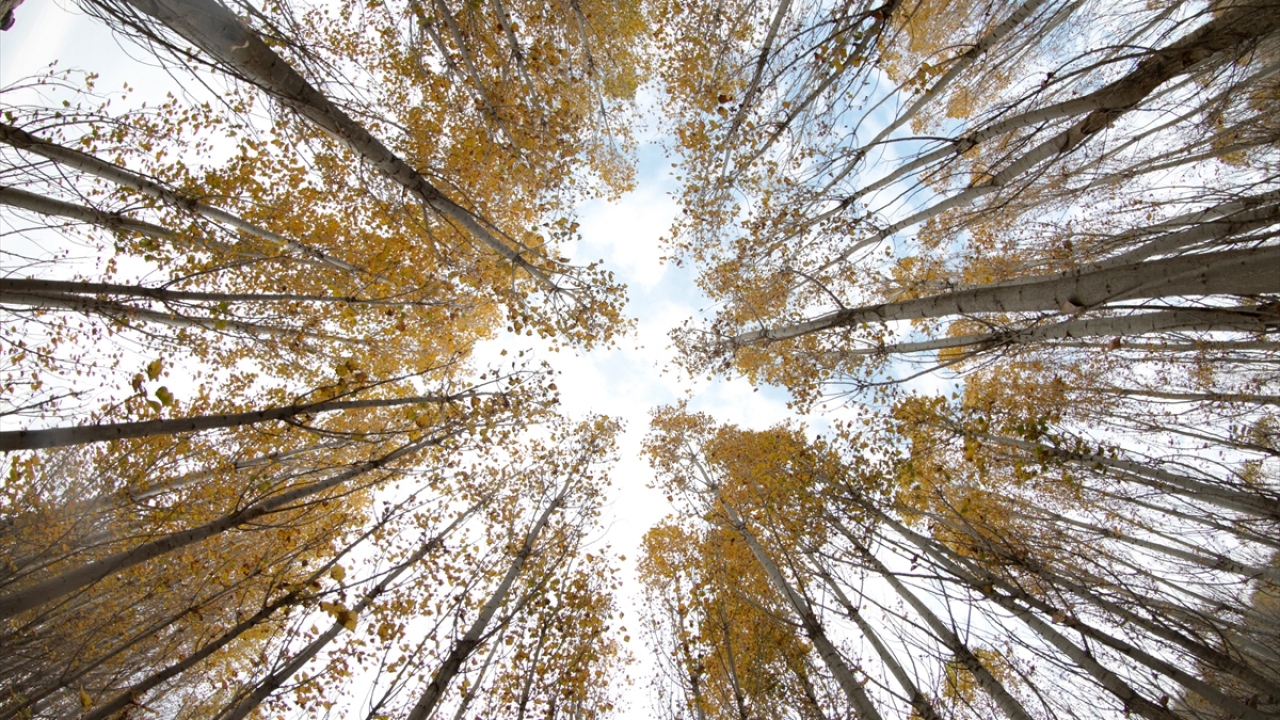Akkuş, İrem Bağları`nın özellikle son yıllarda büyük bir üne kavuştuğunu vurgulayarak, ziyaretçi sayısının her geçen gün arttığını dile getirdi.