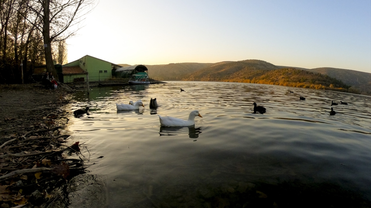 Sonbaharın bütün renklerinin bir arada harmanlandığı gölde sakarmeke ve ördeklerler yaşıyor.