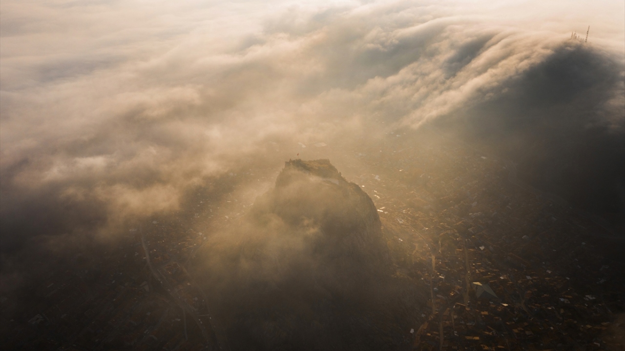 Selek’in bu fotoğrafı sosyal medya üzerinden çok sayıda paylaşım ve yorum aldı.