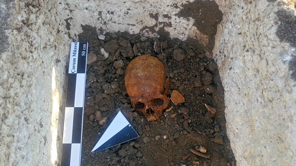 "Yaşlı bir kadın olduğu tahmin ediliyor"