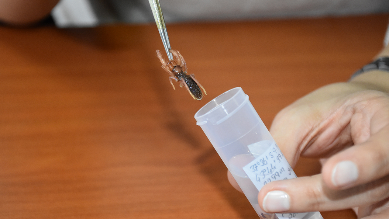 Hakkari Üniversitesi bünyesinde kurulan Biyolojik Çeşitlilik Araştırma ve Uygulama Merkezi, kentteki biyoçeşitliliğin ortaya çıkarılmasına yönelik çalışmalarını sürdürüyor.