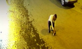 Soluk borusu tıkanan kediyi kurtardı