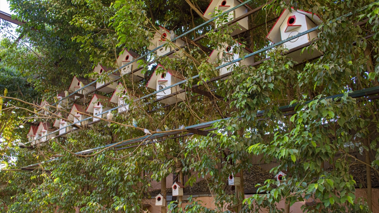  "Masrafların ağırlaşması üzerine girişi ücretli yaptım"