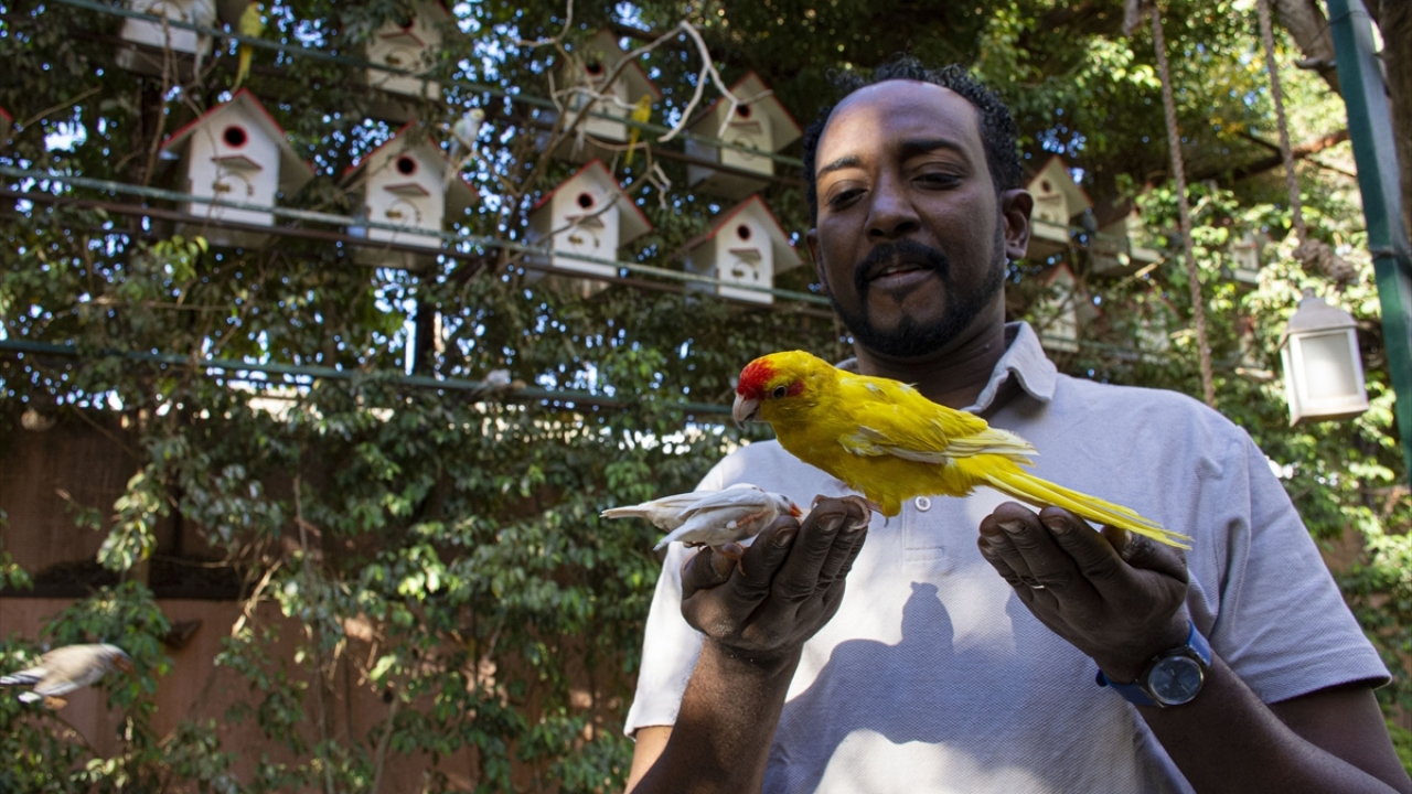 "Tropik iklime benzesin diye yapay yağmur sistemi kurduk"